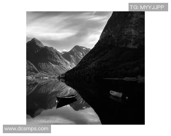 亚当斯的传奇人生与不朽影响探秘之旅